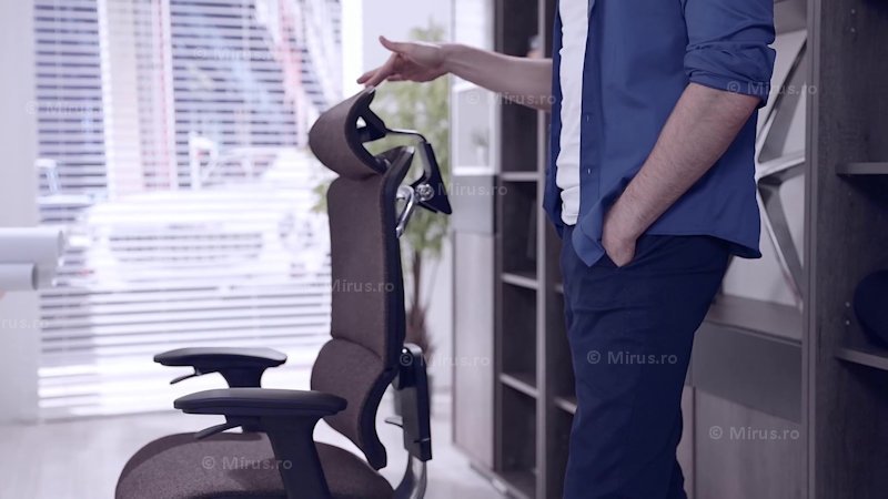 Cum sa alegi un scaun ergonomic?